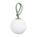 Bolleke