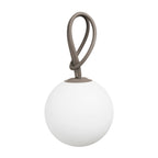 Bolleke